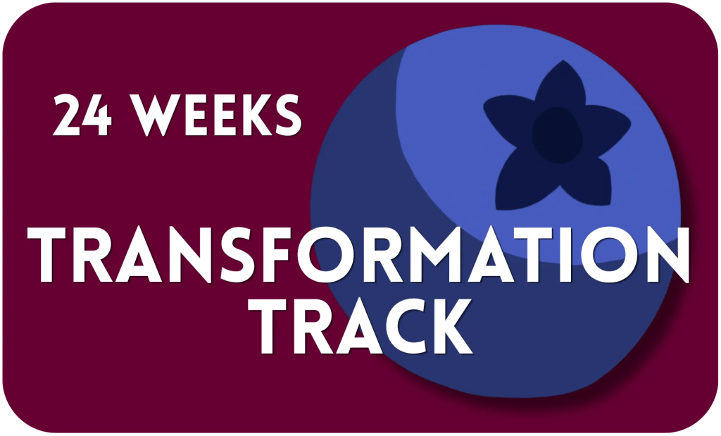 24 weeks transformation track